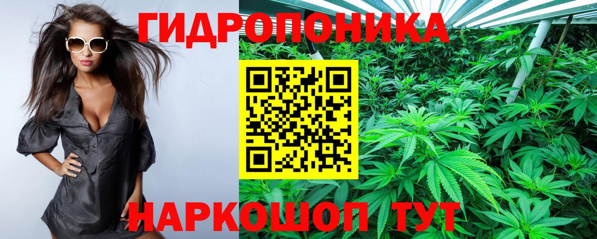 МАРИХУАНА индика  Вход с VPN  Севастополь  Шишки марихуана сатива 